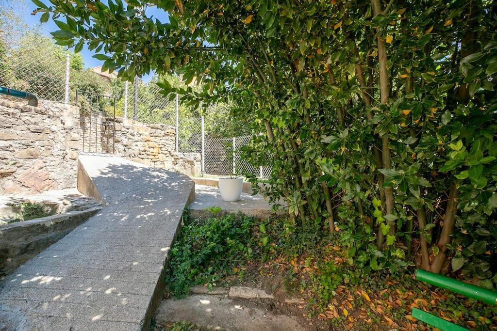 Casa Feli - Apartamento Con Jardin Privado En Los Pirineos Castiello de Jaca Εξωτερικό φωτογραφία
